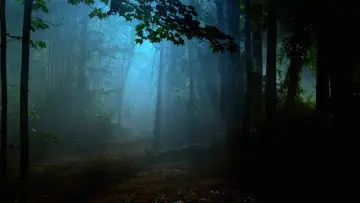 Задник к сериалу "Грань" #1272711