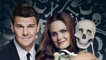 Задник к сериалу "Кости" #1241153