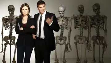 Задник к сериалу "Кости" #1241203