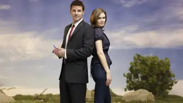 Задник к сериалу "Кости" #1241220