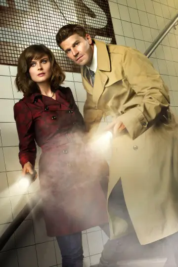 Постер к сериалу "Кости" #1241336