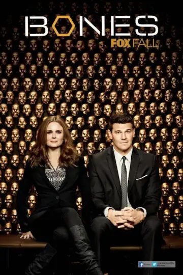 Постер к сериалу "Кости" #1241439