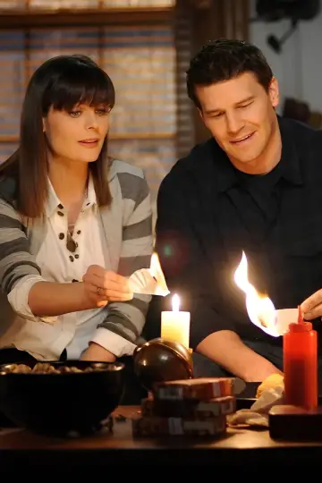 Постер к сериалу "Кости" #1241471
