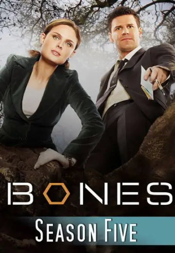 Постер к сериалу "Кости" #1259456