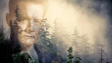 Задник к сериалу "Твин Пикс" #1274618