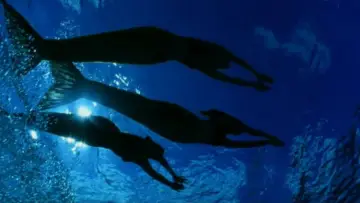 Задник к сериалу "H2O: Просто добавь воды" #1349426