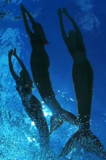 Постер к сериалу "H2O: Просто добавь воды" #1349465
