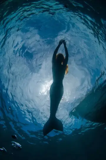 Постер к сериалу "H2O: Просто добавь воды" #1349476