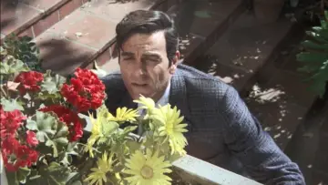 Задник к сериалу "Менникс" #1298411