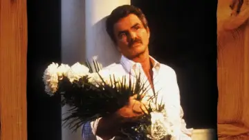 Задник к сериалу "Вечерняя тень" #1451971