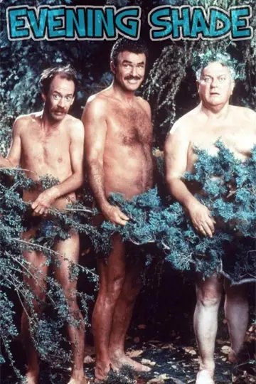 Вечерняя тень (1990)