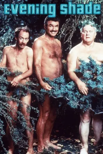 Постер к сериалу "Вечерняя тень" #1451976