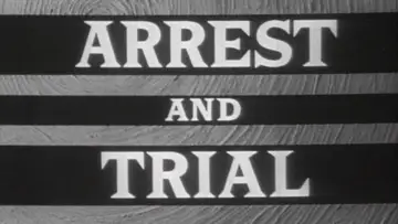 Задник к сериалу "Arrest and Trial" #1658090