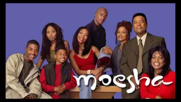 Задник к сериалу "Moesha" #1368348