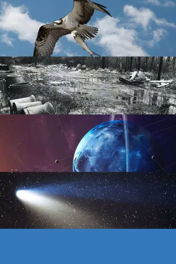 Постер к сериалу "Новая звезда" #1271259