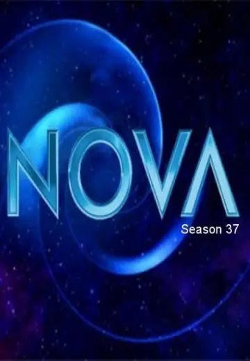 Постер к сериалу "Новая звезда" #1271424