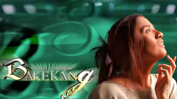 Задник к сериалу "Байкэкан" #1846616
