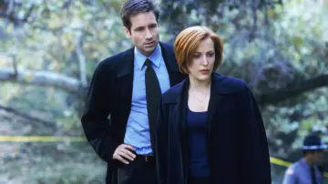 Задник к сериалу "Секретные материалы" #1250752