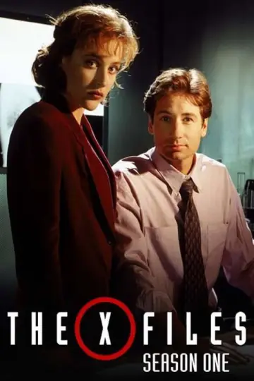 Постер к сериалу "Секретные материалы" #1265920