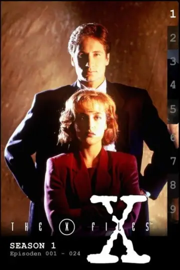 Постер к сериалу "Секретные материалы" #1265931
