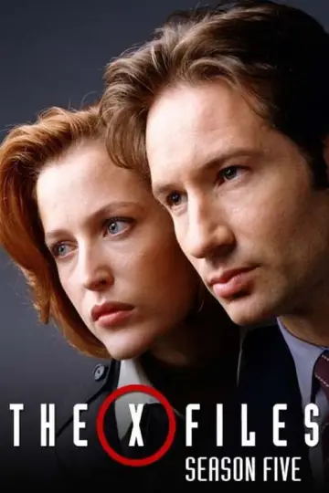 Постер к сериалу "Секретные материалы" #1266021