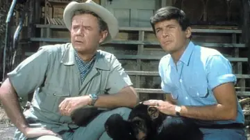 Задник к сериалу "Daktari" #1446712