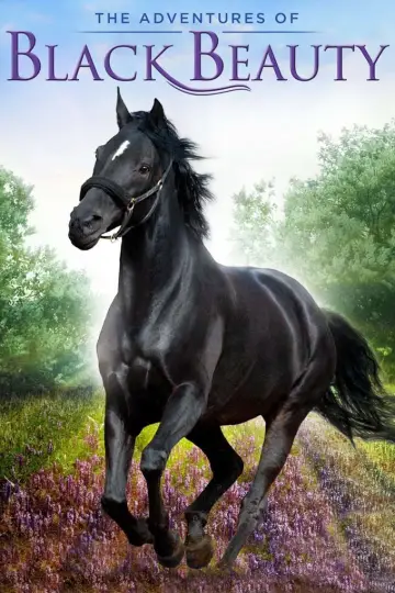 The Adventures of Black Beauty постер