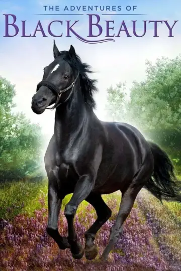 Постер к сериалу "The Adventures of Black Beauty" #1832717