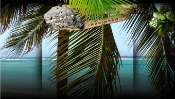 Задник к сериалу "Expeditie Robinson" #1537440