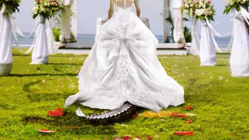 Задник к сериалу "Bridezillas" #1413439
