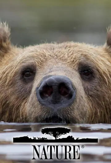 Постер к сериалу "Природа" #1294007
