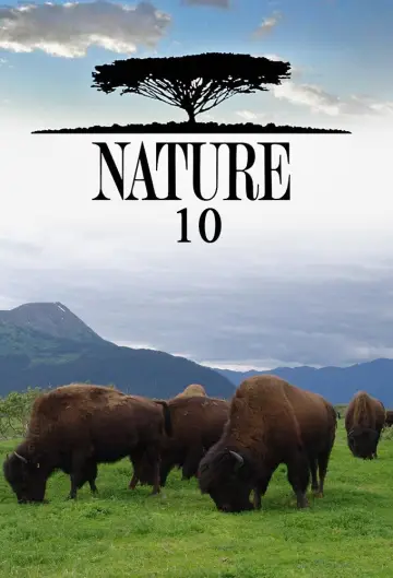 Сезон 10