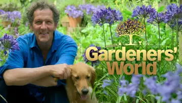 Задник к сериалу "Gardeners