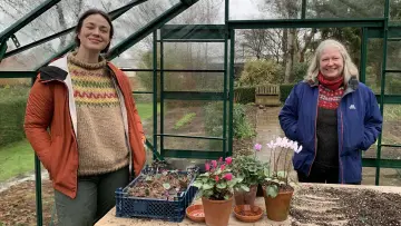 Задник к сериалу "Gardeners