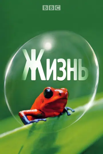 Жизнь (2009)