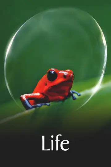 Постер к сериалу "Жизнь" #1455298