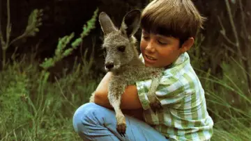 Задник к сериалу "Skippy the Bush Kangaroo" #1441006