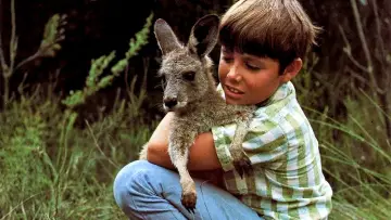 Задник к сериалу "Skippy the Bush Kangaroo" #1441007