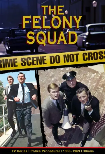 Felony Squad постер