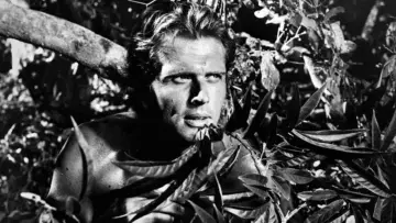 Задник к сериалу "Tarzan" #1345679
