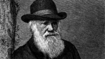 Задник к сериалу "The Genius of Charles Darwin" #1830379