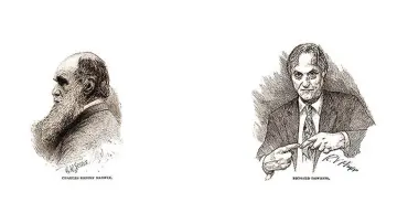 Задник к сериалу "The Genius of Charles Darwin" #1830380