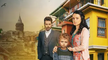 Задник к сериалу "Раненые птицы" #1393710