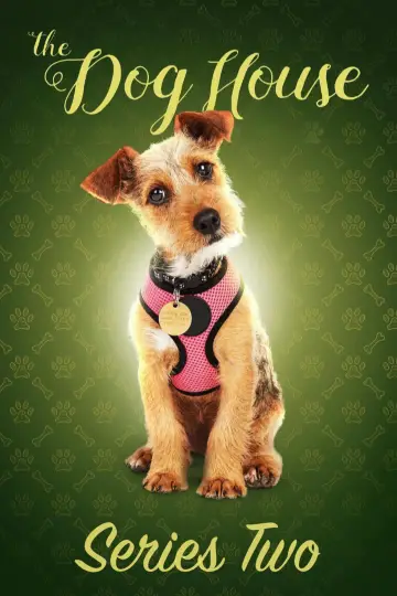 Постер к сериалу "The Dog House" #1769088
