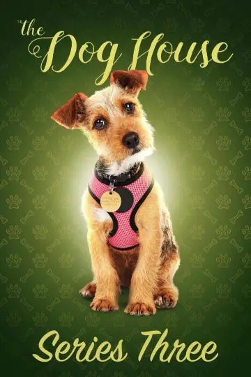 Постер к сериалу "The Dog House" #1769091