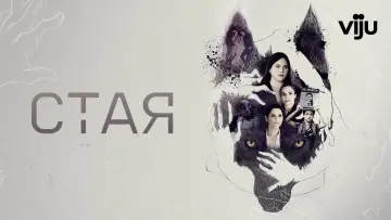 Задник к сериалу "Стая" #1465171