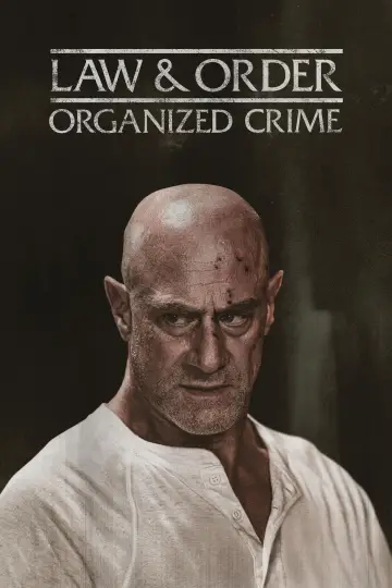 Постер к сериалу "Закон и порядок: Организованная преступность" #1321792