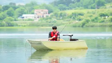 Задник к сериалу "BTS в лесу" #1455012