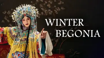 Задник к сериалу "Зимняя бегония" #1432871