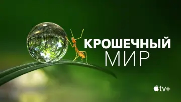 Задник к сериалу "Крошечный мир" #1505897